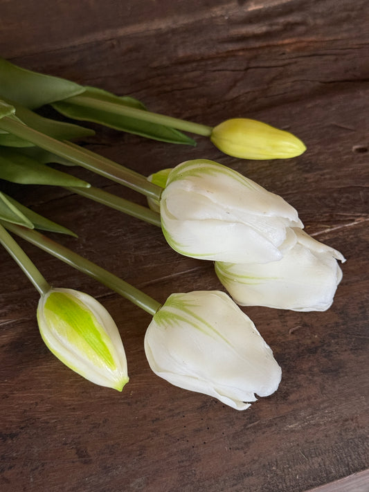 Bos Tulpen, 5 stuks, 36 cm. Wit