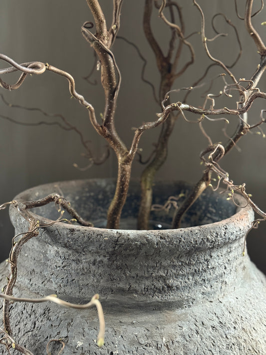 Authentic water jug (H)