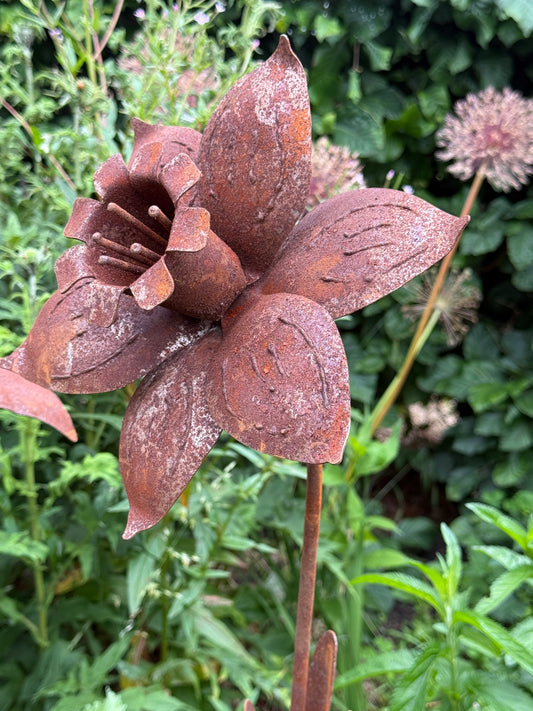 Rusted Metal Lily on Plug