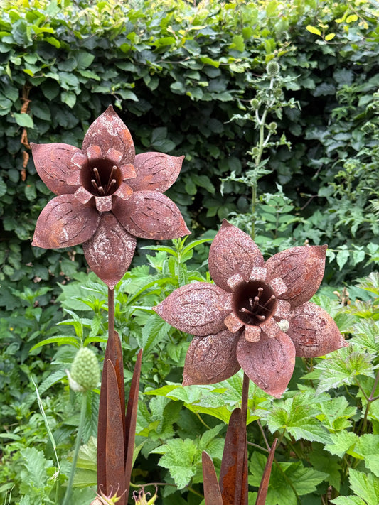 Rusted Metal Lily on Plug
