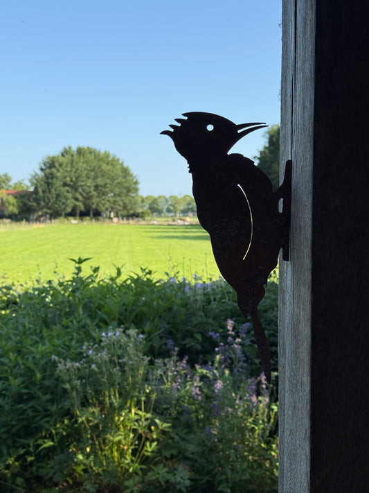 Rusted Metal Woodpecker