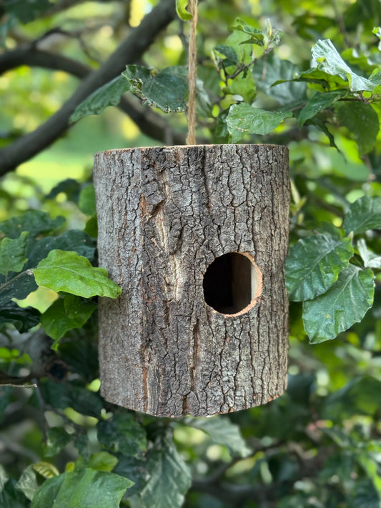 Vogelhuisje van Boomstam