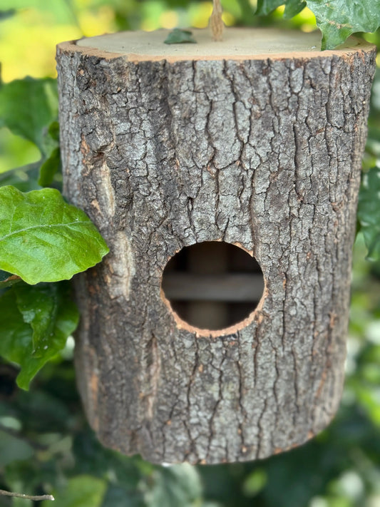 Vogelhuisje van Boomstam