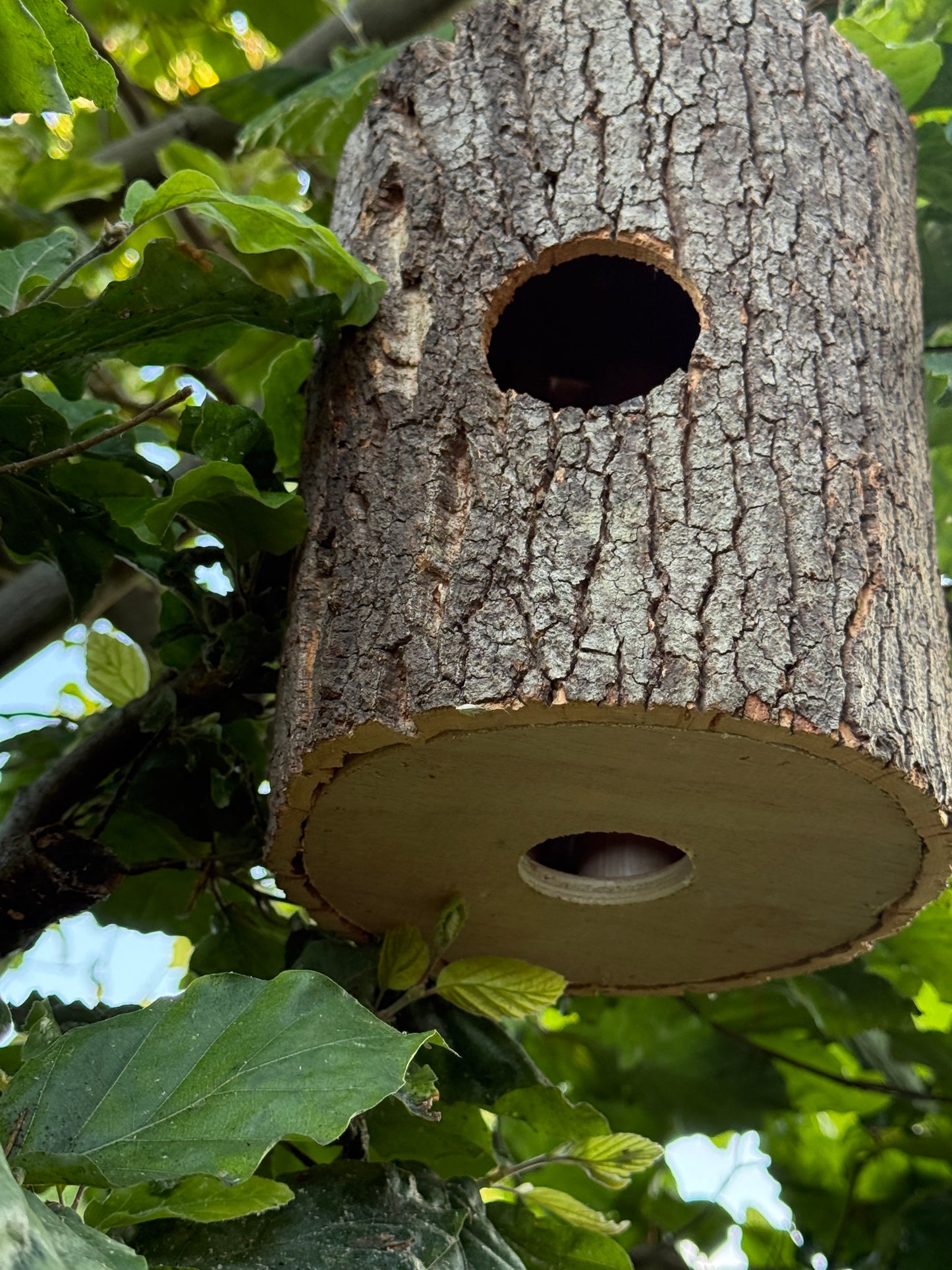 Birdhouse made of tree trunk