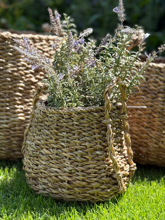 Seagrass Basket with Handles