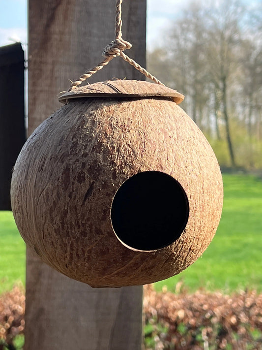 Kokosnuss-Vogelhaus