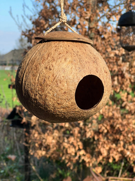 Vogelhuisje van Kokosnoot