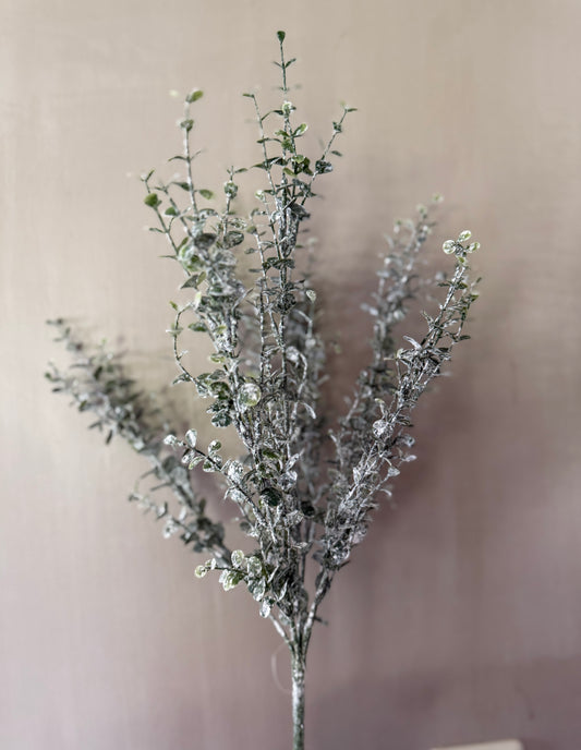 Eucalyptus branch with fine leaves