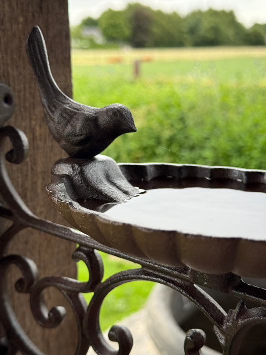 Bird feeder/drinking bowl on wall mounting – wrought iron – 25x28x14 cm
