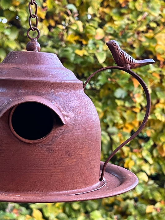Birdhouses Teapot