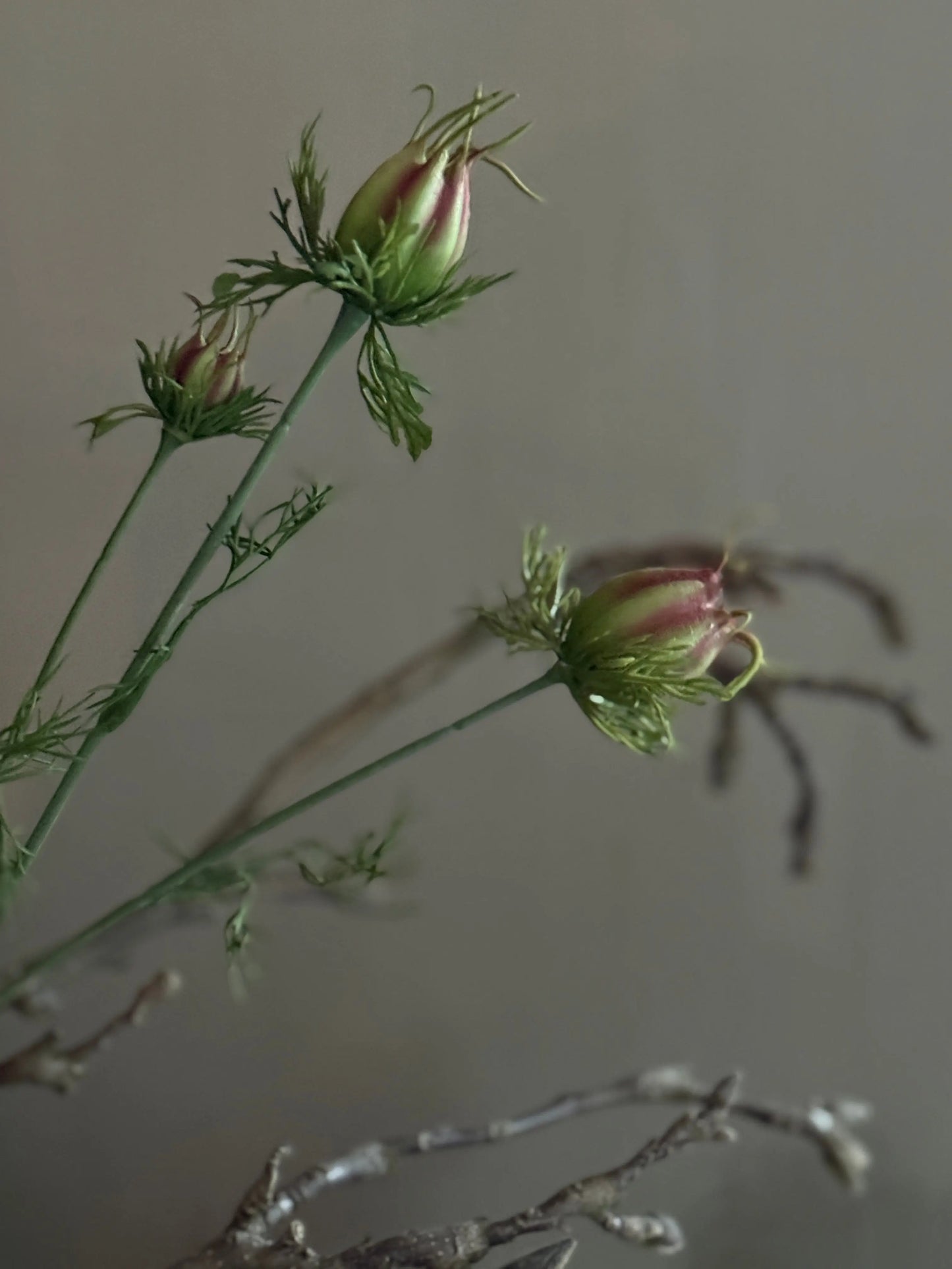 Artificial flower Nigella purple with closed bud