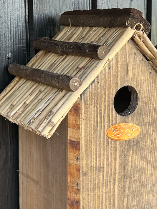 Nest box great tit