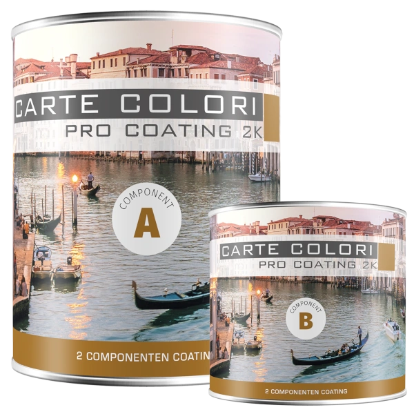 Pro coating 2K, 2 component coating, 1 Liter, 10-11 m2
