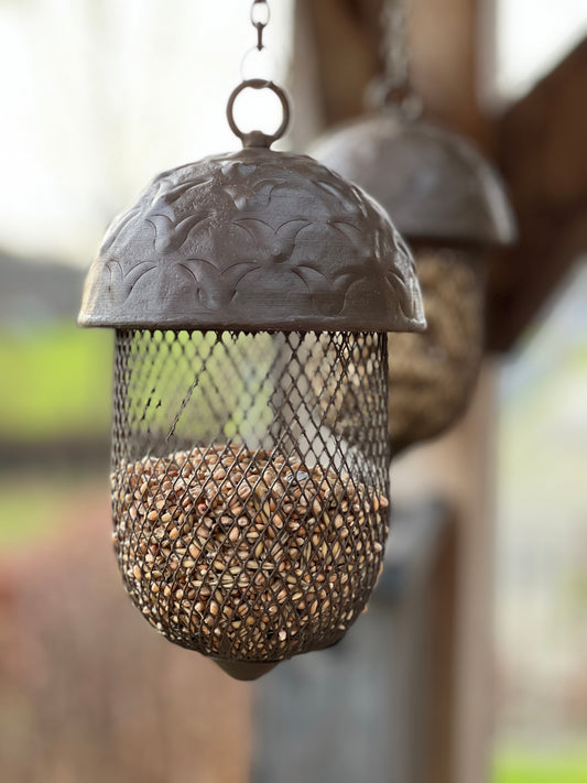 Acorn feeding hanger with hanging chain