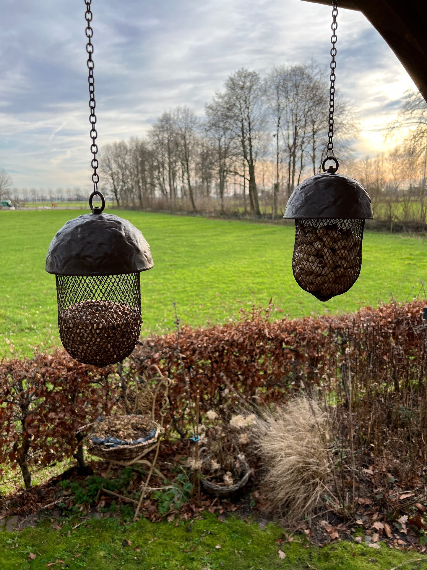 Acorn feeding hanger with hanging chain
