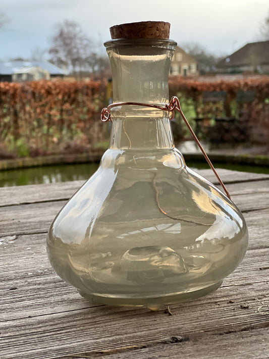 Wasp pot available in 3 colours