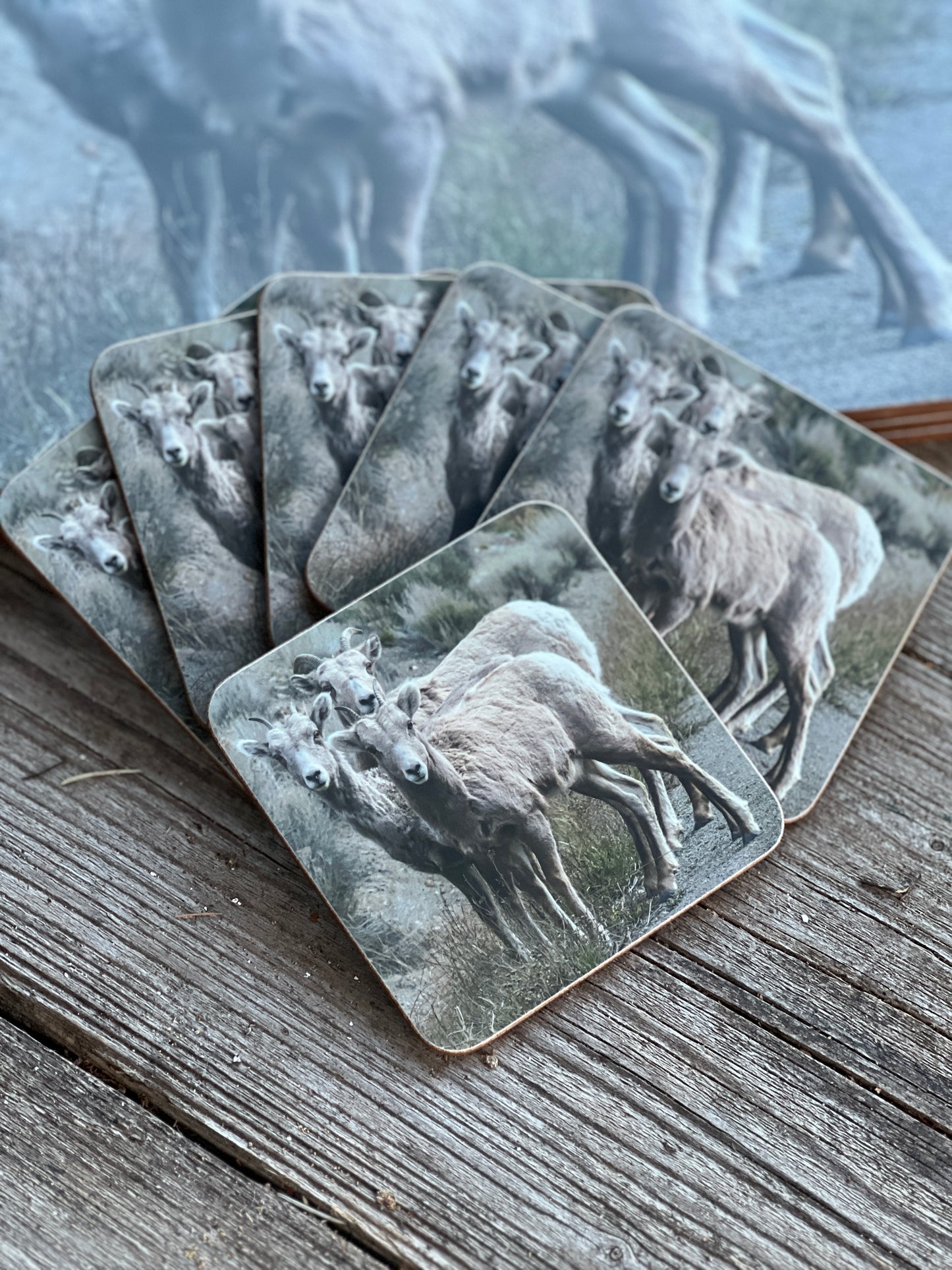 Placemats three sheep, set of 4 pieces.