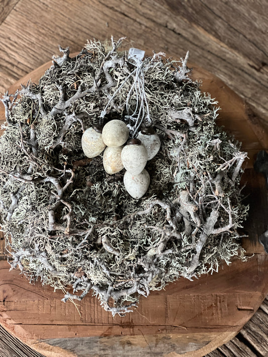 Nest of gray moss and bonsai, 30 cm.