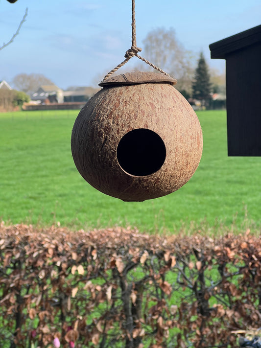 Coconut birdhouse