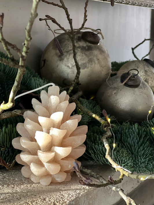 Candle pine cone Brynxz