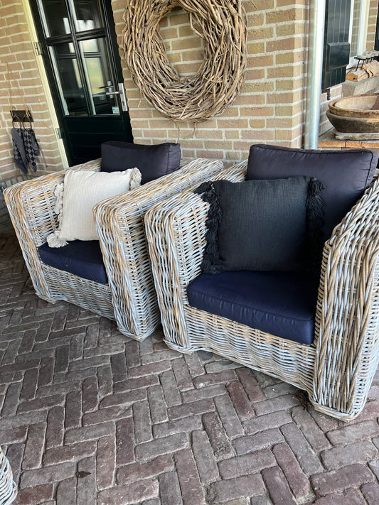 Cushion Raven 45x45 cm