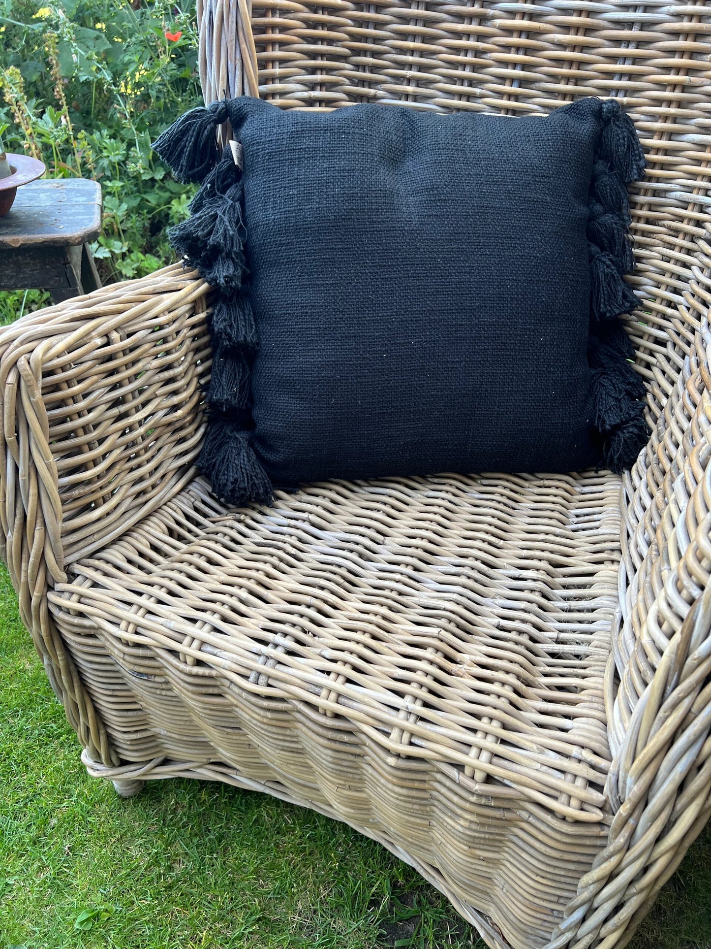 Kussen Raven 45x45 cm