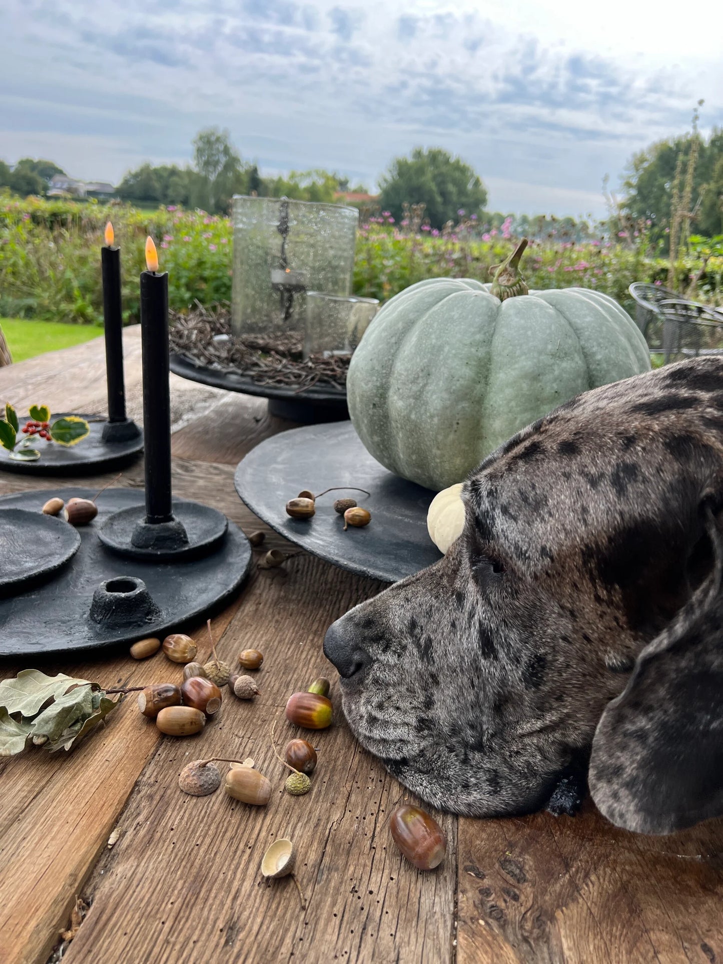 Scale on foot from PMR, Black (available in various sizes)