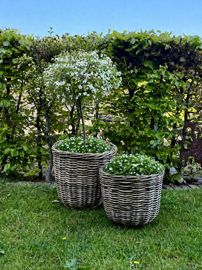Rattan baskets – available in 2 sizes