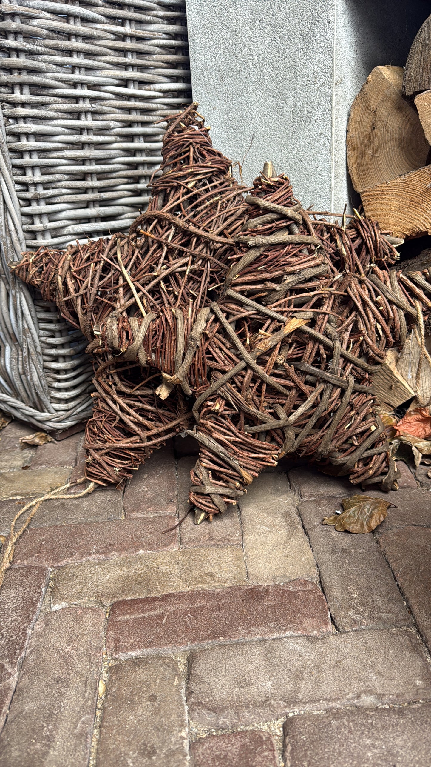 Star, rattan available in M ​​and L