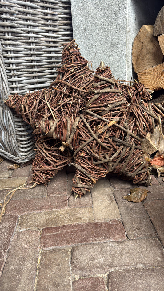 Ster, rotan verkrijgbaar in M en L