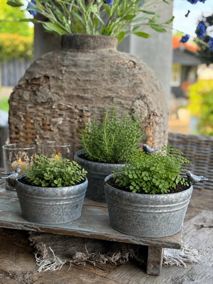 Metal flower pots with birds on the rim – set of 3 pieces