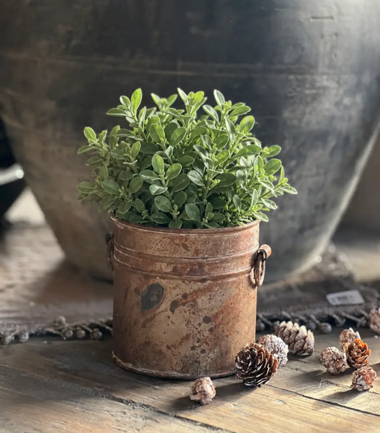 Rusted pot