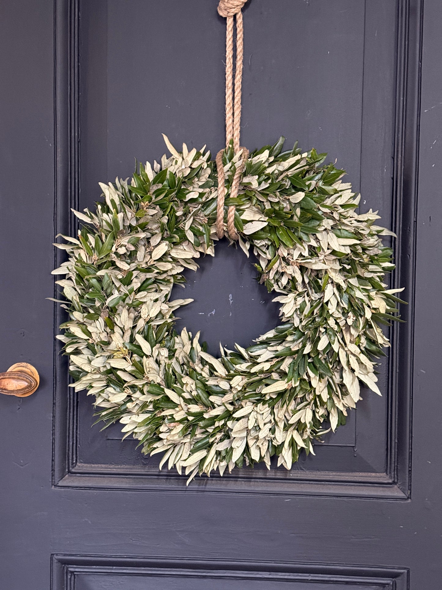Wreath of holm oak approximately 50 cm