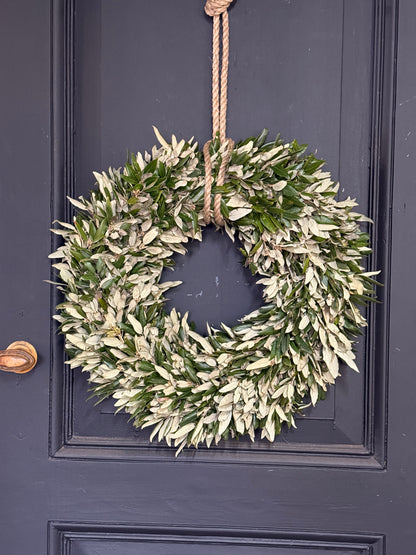 Wreath of holm oak approximately 50 cm
