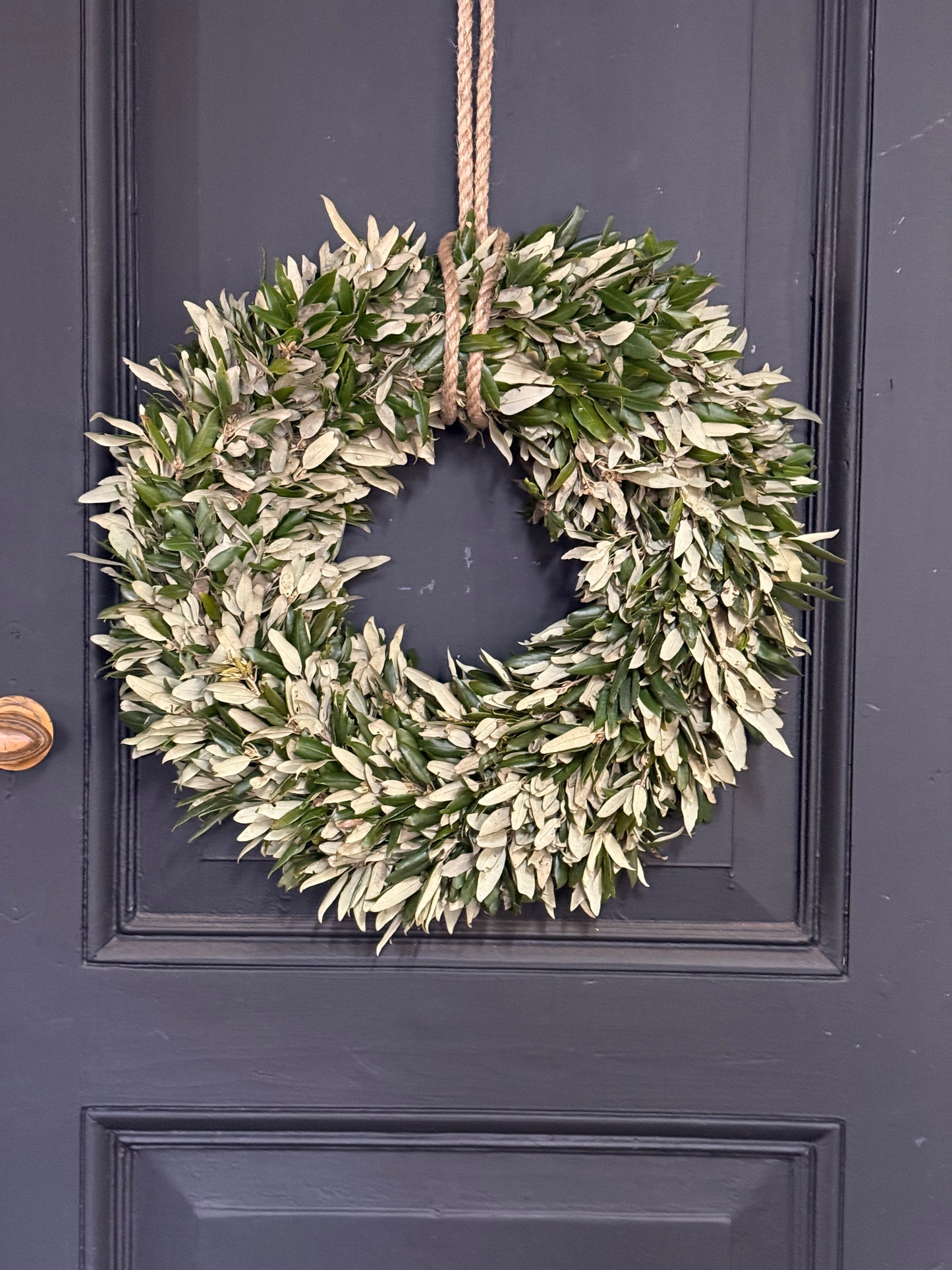 Wreath of holm oak approximately 50 cm