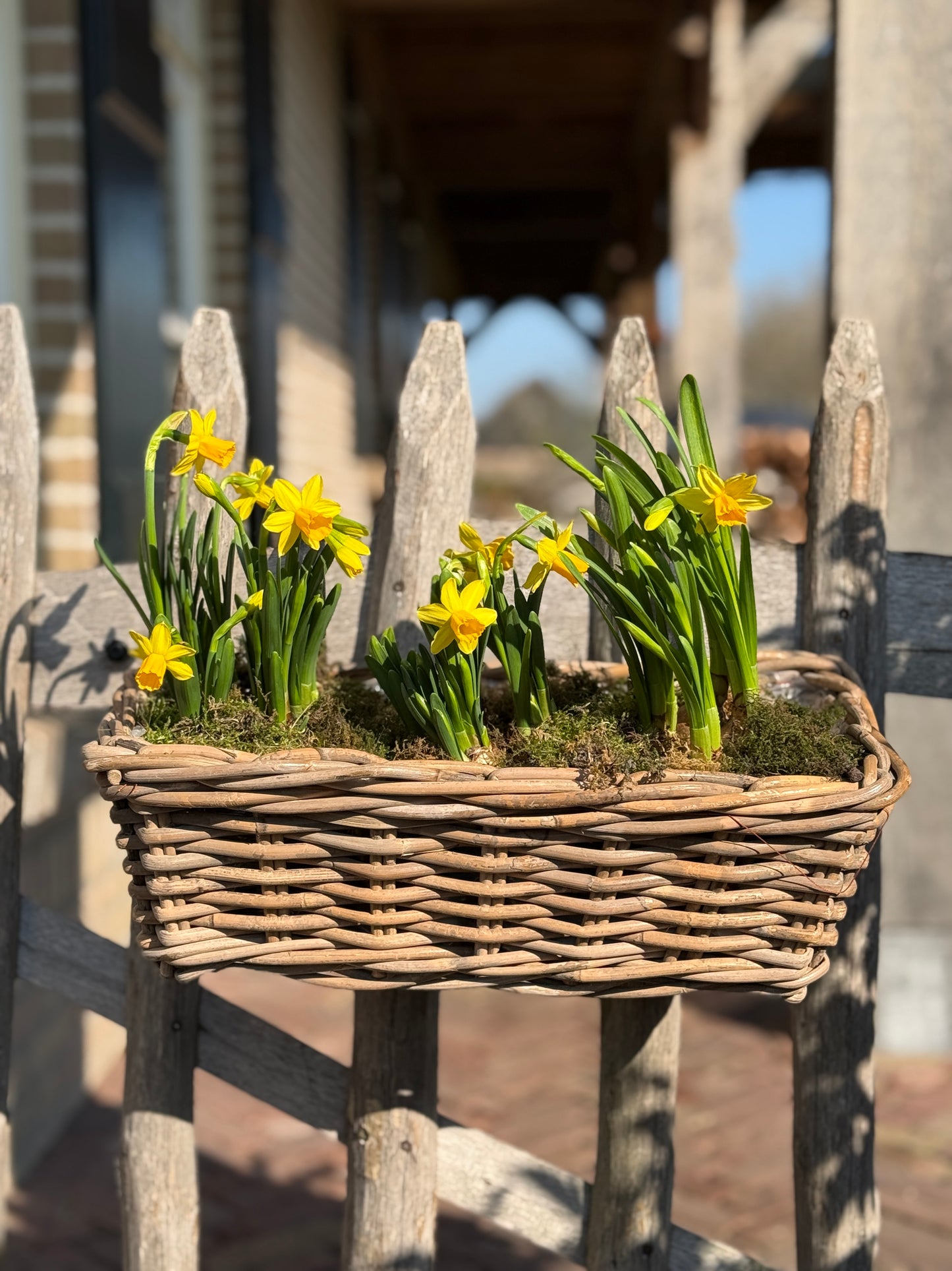 Rattan planter with plastic inner container