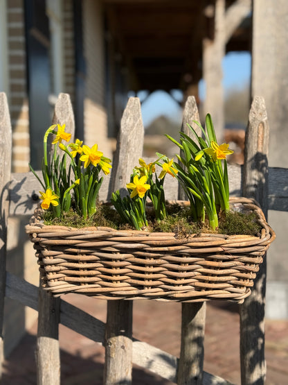 Rattan planter with plastic inner container
