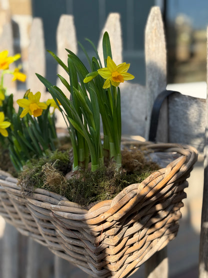 Rattan planter with plastic inner container