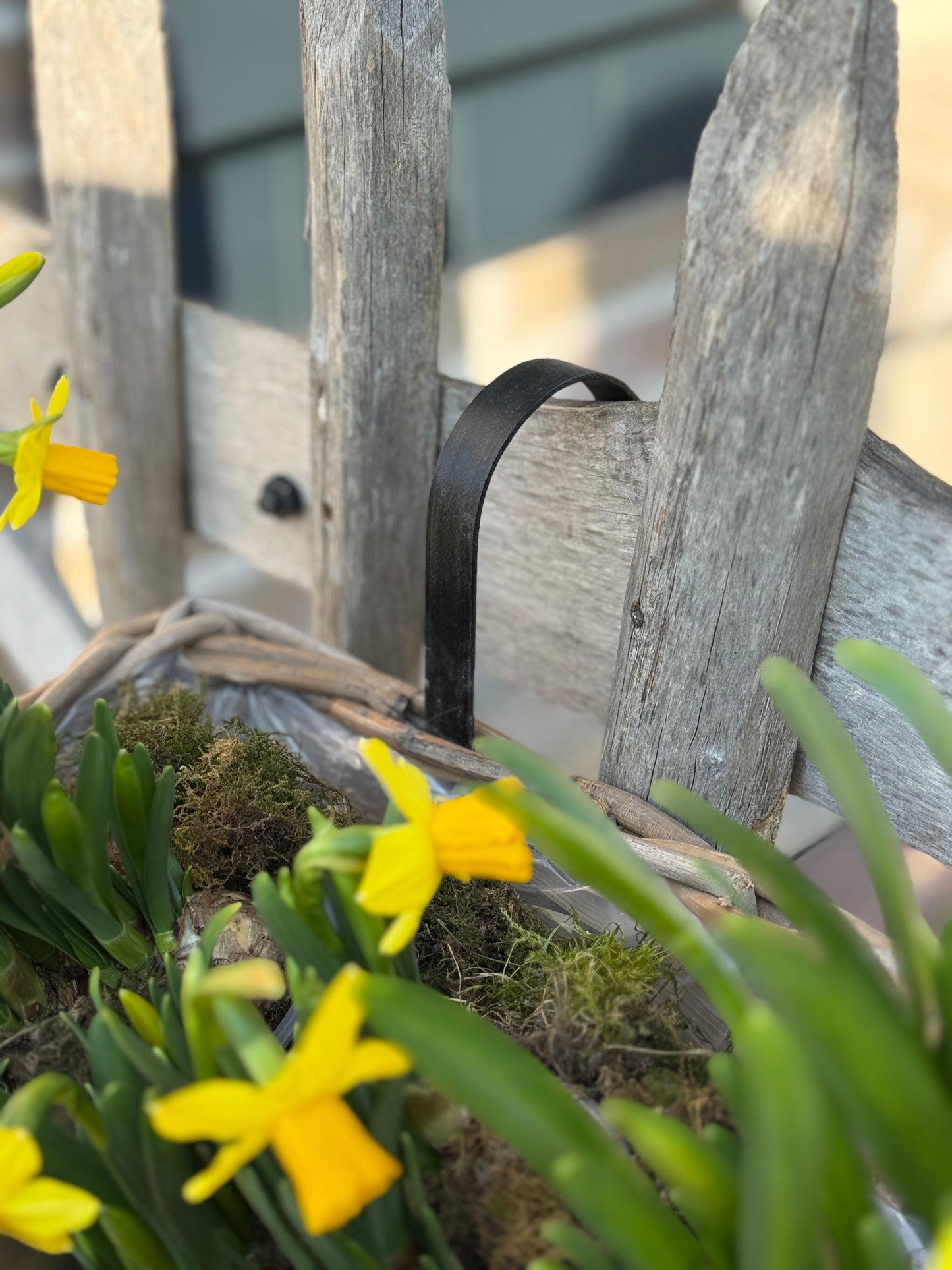 Rattan planter with plastic inner container