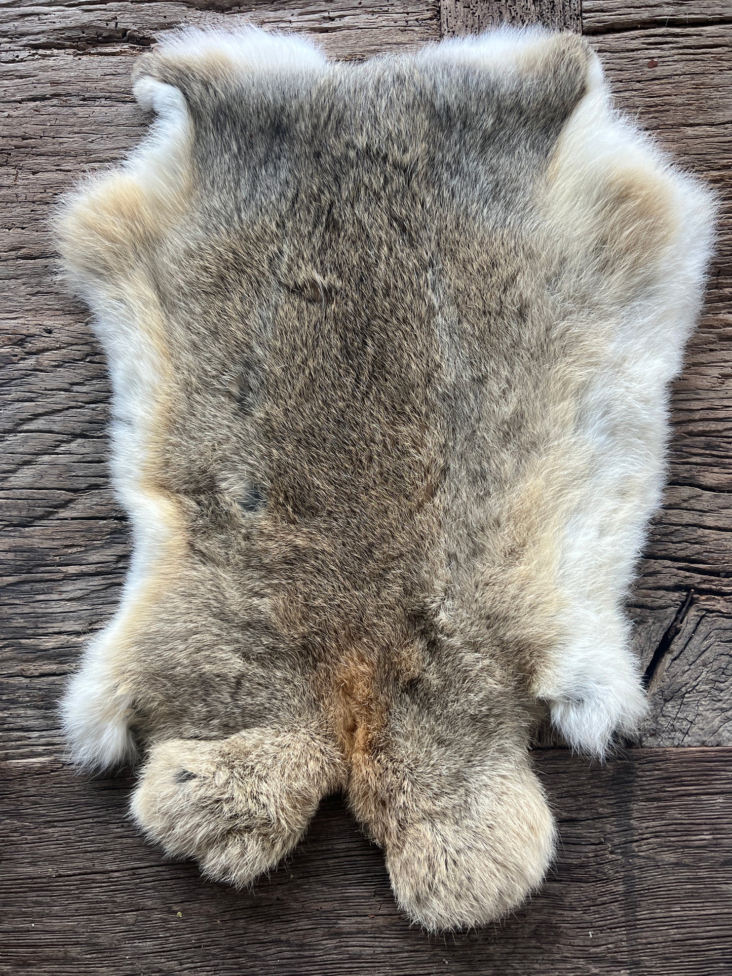 Rabbit fur (Brown/White 4)