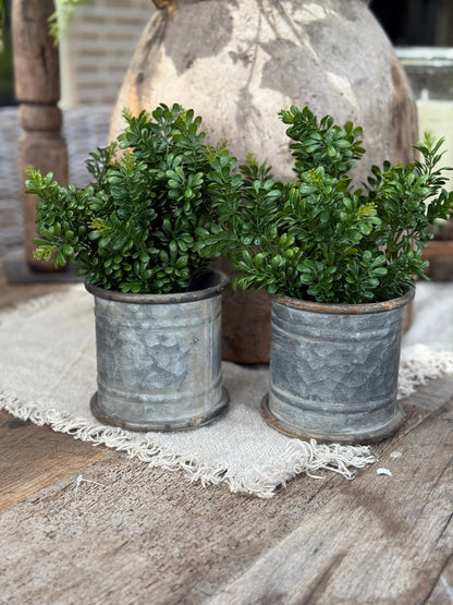 Kunst Buxus in Zwarte Pot