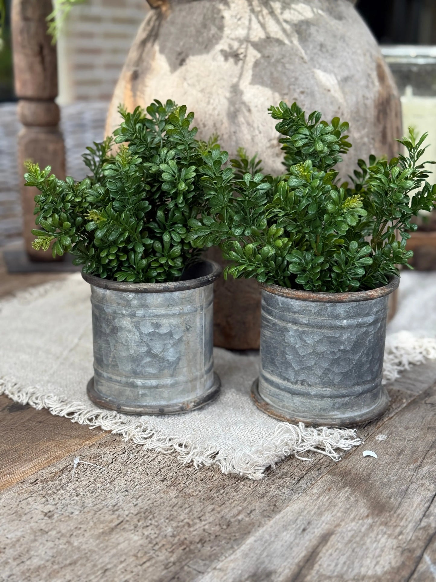 Kunst Buxus in Zwarte Pot
