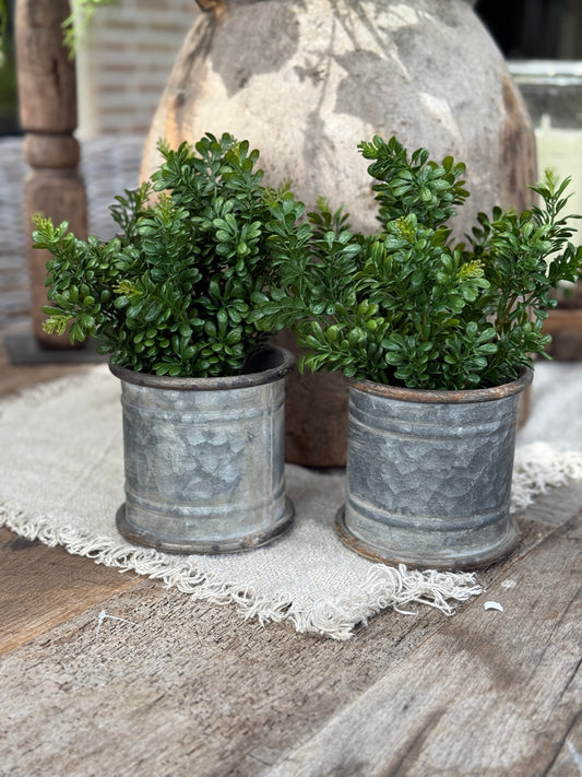 Artificial Boxwood in Black Pot