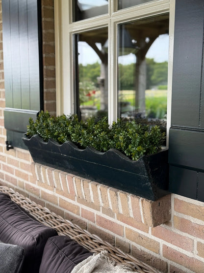 Kunst Buxus in Zwarte Pot