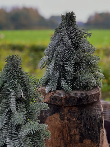 Nobilis Artificial Tree 30 c
