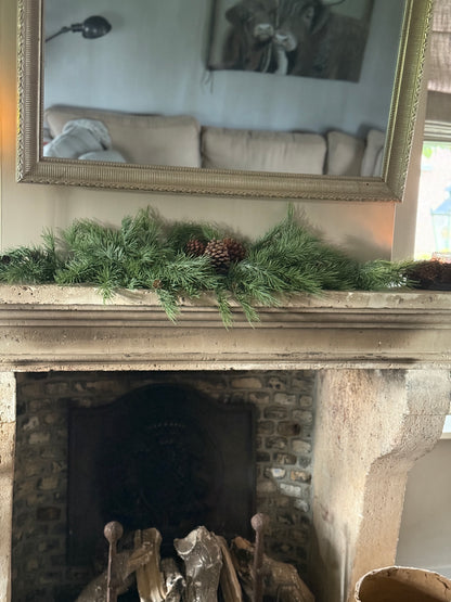 Weihnachtsbüschelzeder