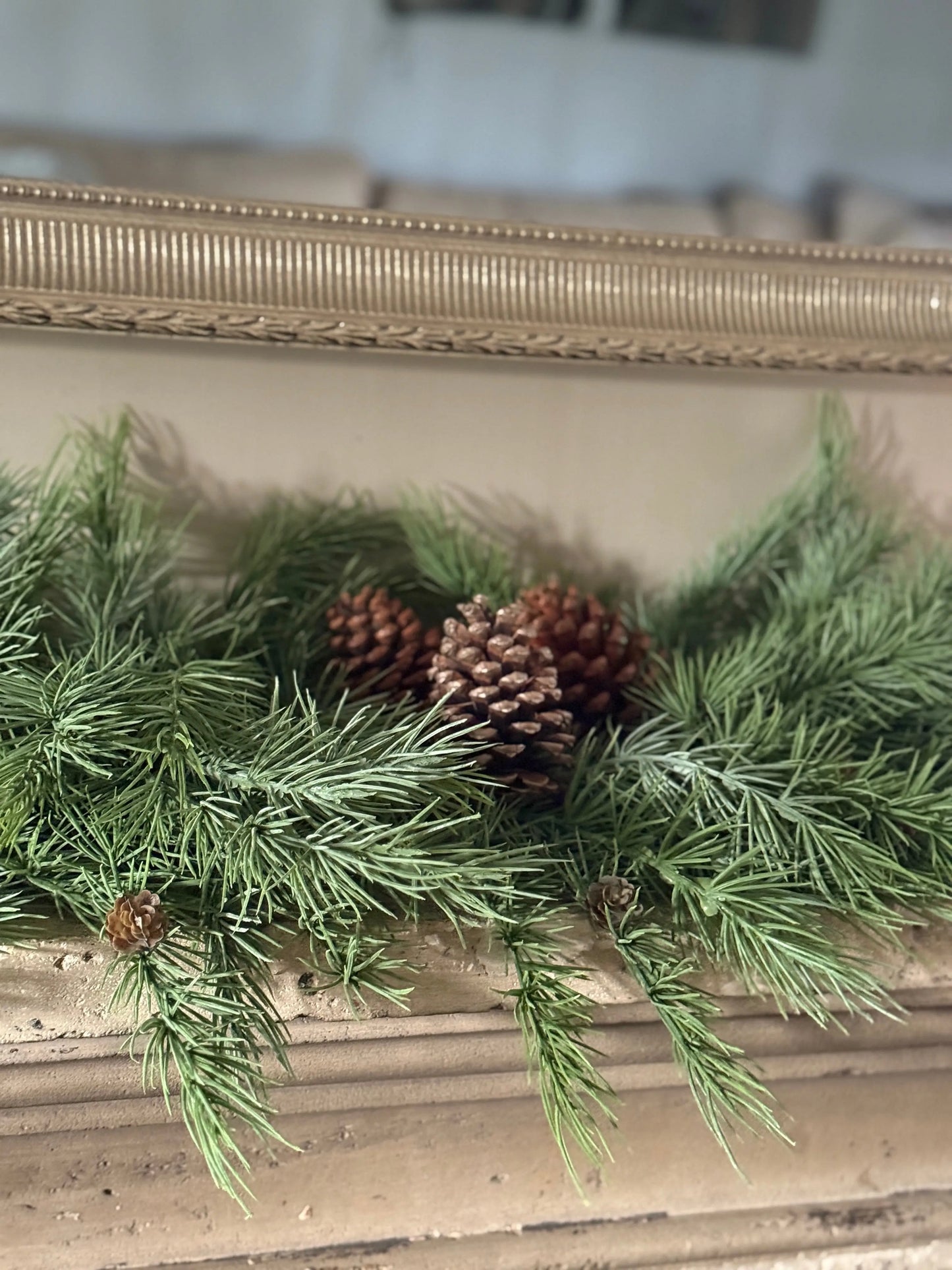 Weihnachtsbüschelzeder