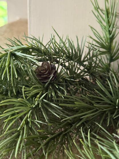 Weihnachtsbüschelzeder