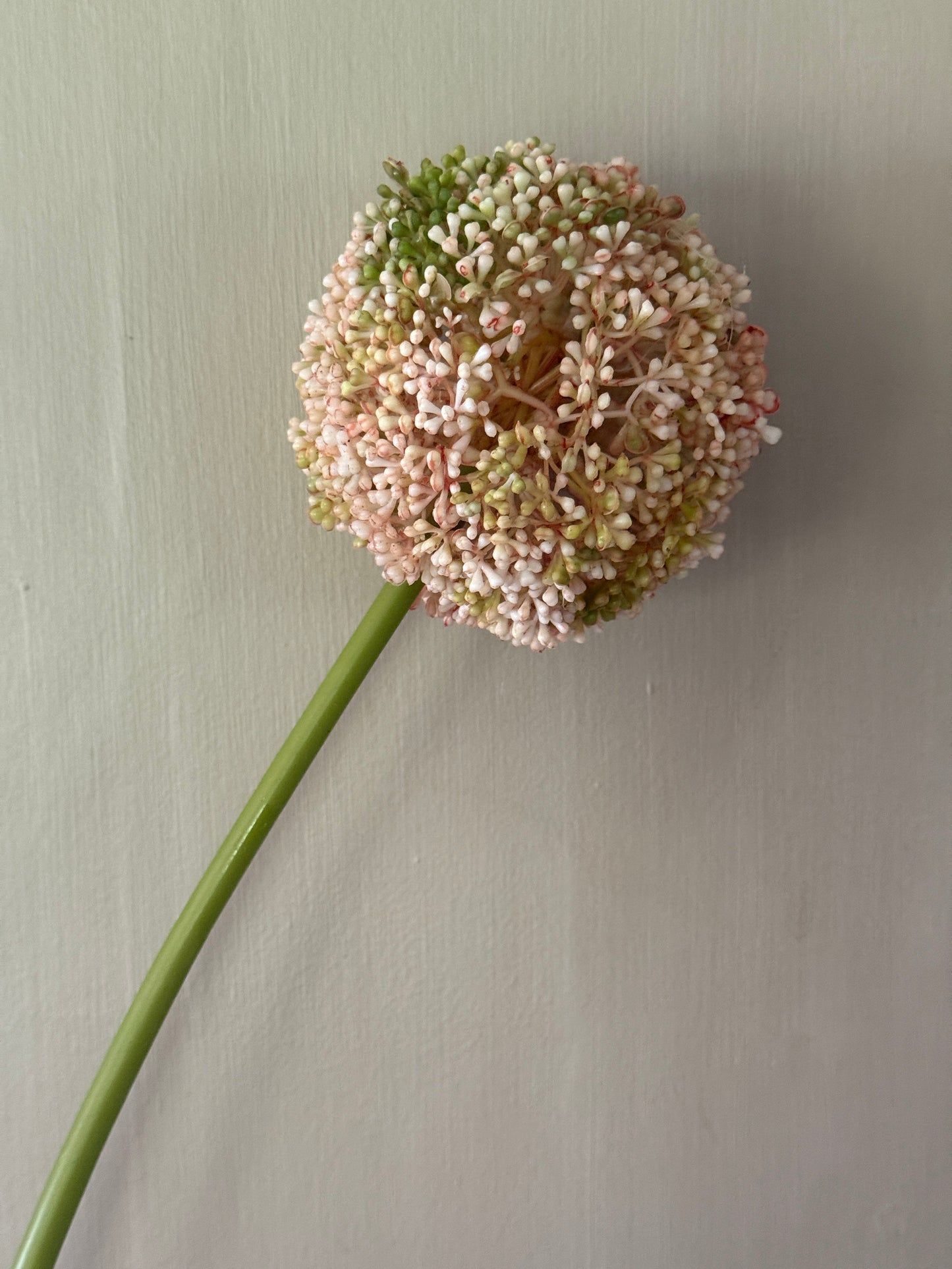 Künstliche Blume Allium