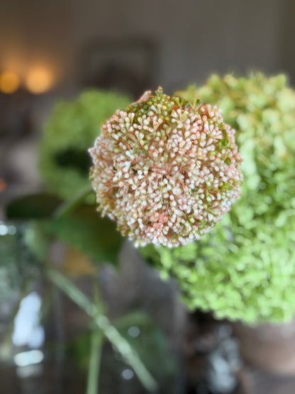 Künstliche Blume Allium